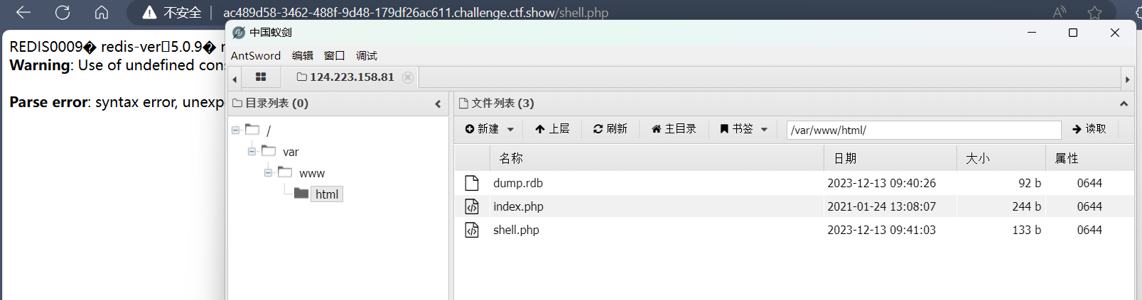 image-20231213174317105